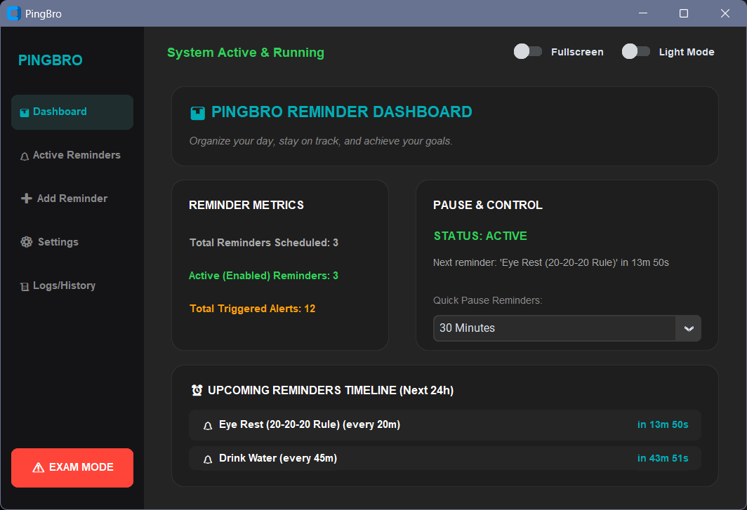 Screenshot showing the interface of PingBro